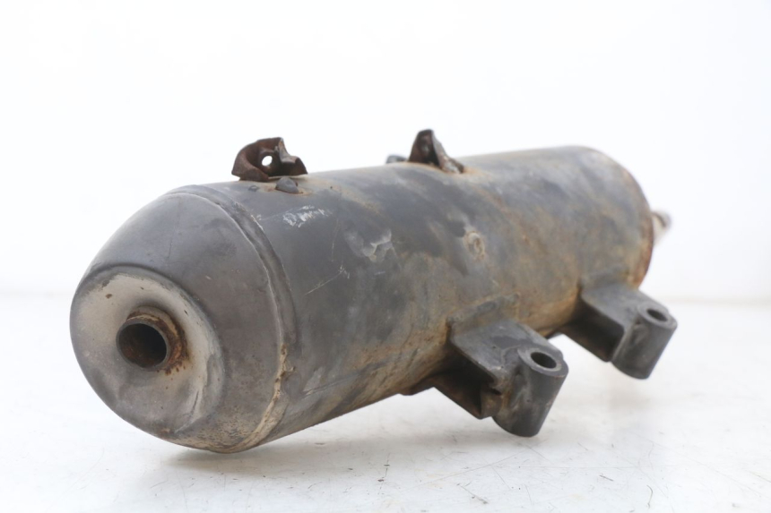photo de EXHAUST LONGJIA EASY MAX 125 (2020 - 2024)