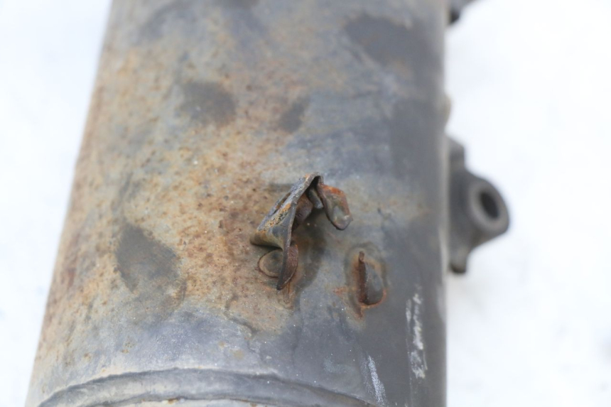 photo de EXHAUST LONGJIA EASY MAX 125 (2020 - 2024)