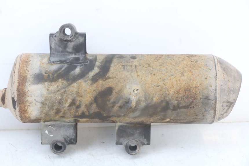 photo de EXHAUST LONGJIA EASY MAX 125 (2020 - 2024)