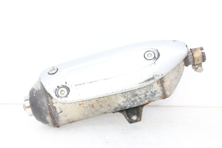 photo de EXHAUST PIAGGIO MP3 RL 250 (2007 - 2010)