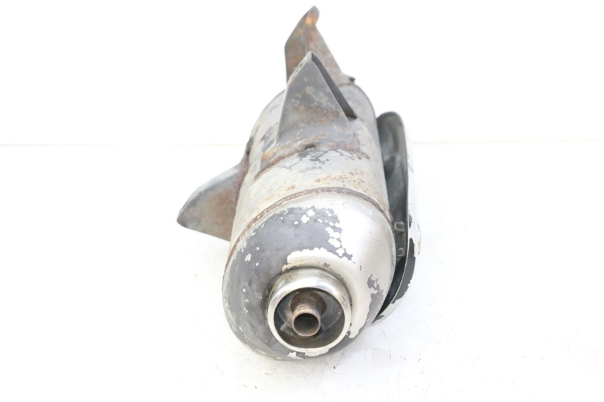 photo de EXHAUST PIAGGIO MP3 RL 250 (2007 - 2010)