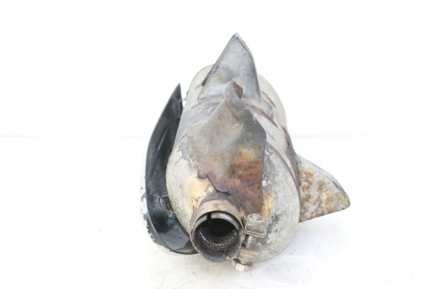 photo de EXHAUST PIAGGIO MP3 RL 250 (2007 - 2010)
