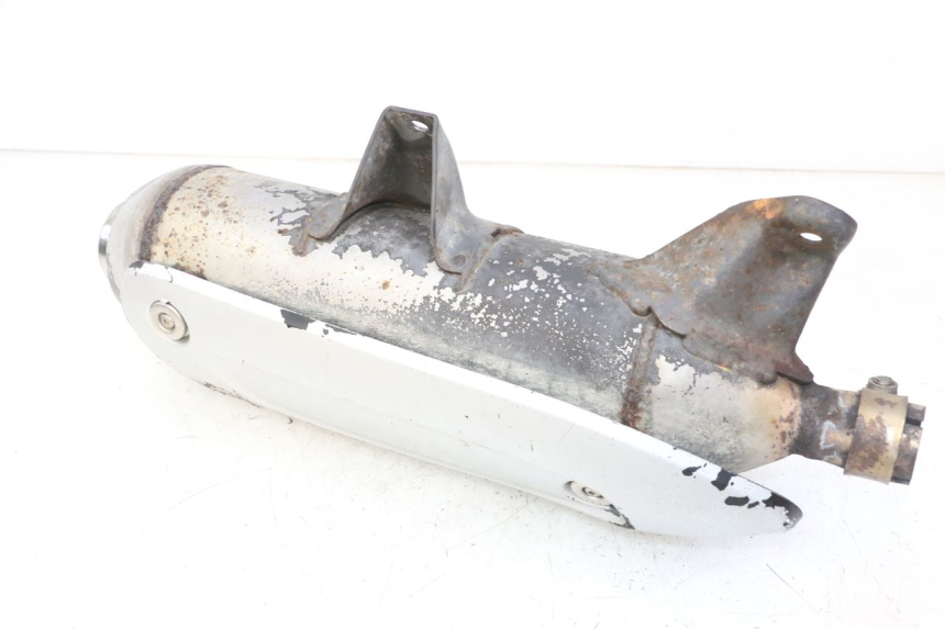 photo de EXHAUST PIAGGIO MP3 RL 250 (2007 - 2010)