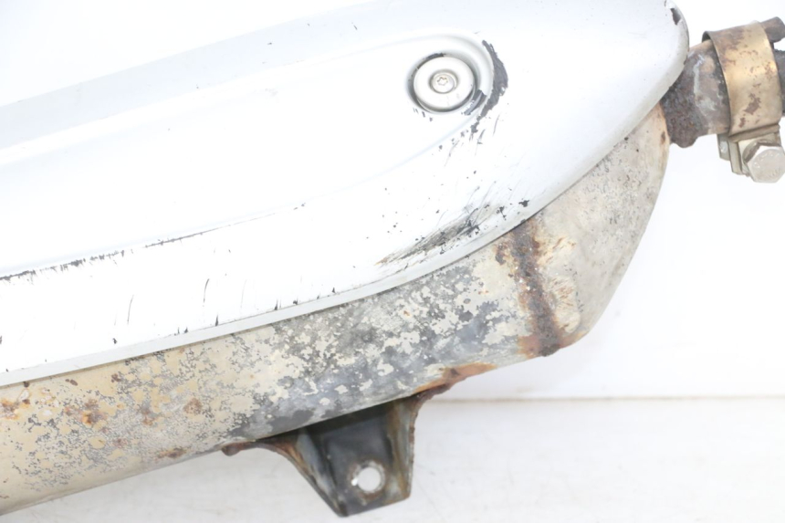 photo de EXHAUST PIAGGIO MP3 RL 250 (2007 - 2010)