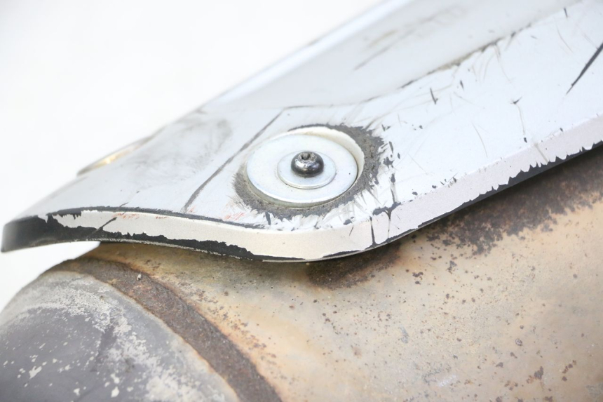 photo de EXHAUST PIAGGIO MP3 RL 250 (2007 - 2010)