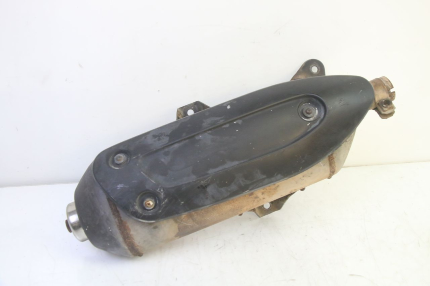 photo de EXHAUST PIAGGIO MP3 RL 250 (2007 - 2010) - Main view
