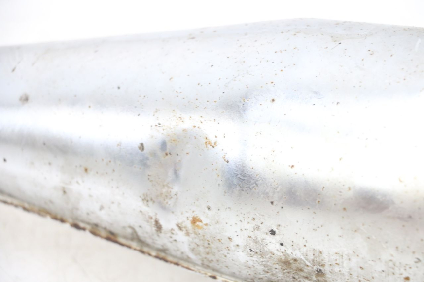 photo de EXHAUST RIEJU MRT 50 (2018 - 2021)