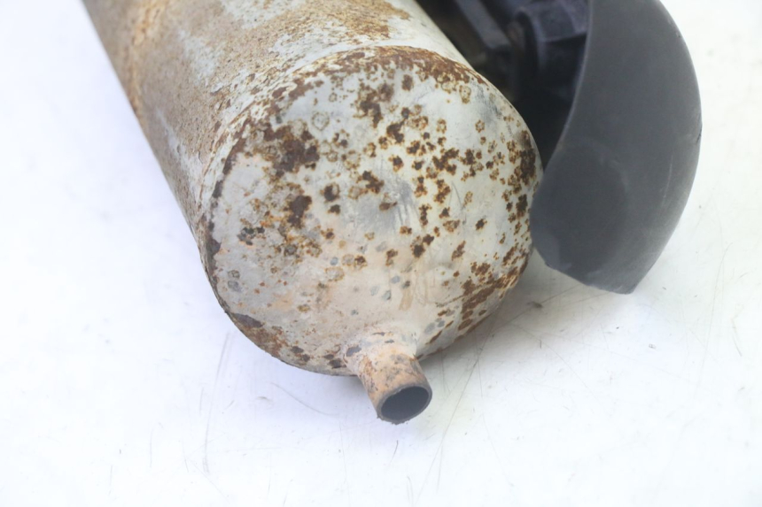 photo de EXHAUST TNT MOTOR ROMA 10' 2T 50 (2011 - 2018)