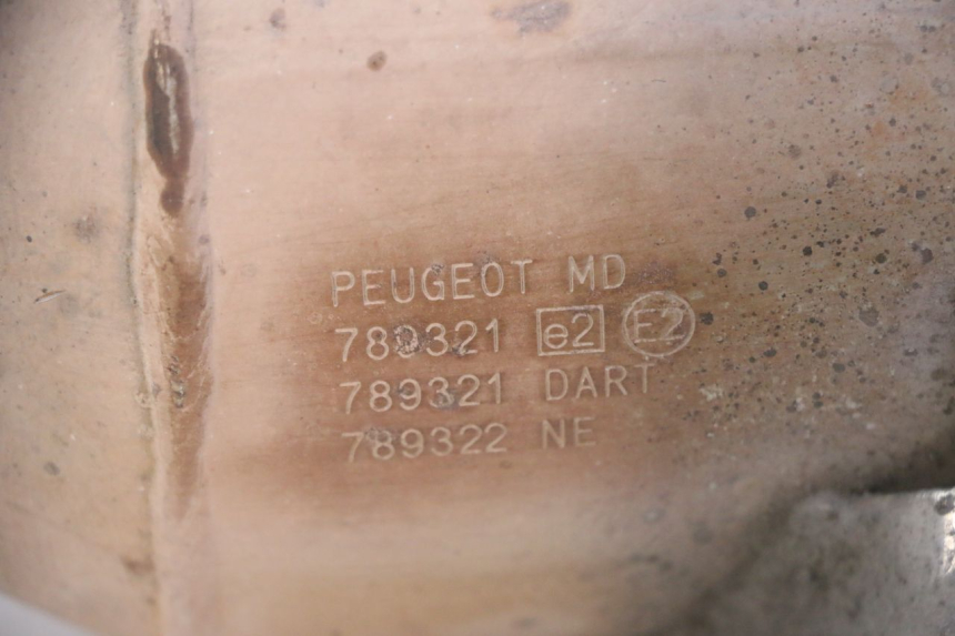 photo de EXHAUST PEUGEOT SATELIS 125 (2013 - 2018)