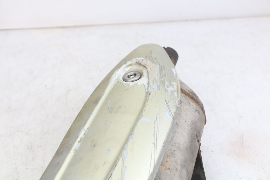 photo de EXHAUST PIPE PIAGGIO X9 EVOLUTION 125 (2003 - 2007)