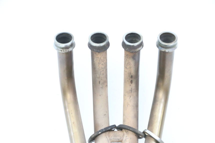 photo de EXHAUST YAMAHA XJ6 ABS 600 (2008 - 2016)