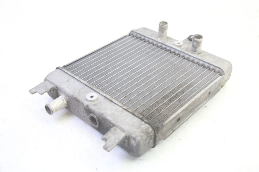 photo de RADIATOR SUZUKI BURGMAN 125 (2007 - 2014) - Alternative perspective