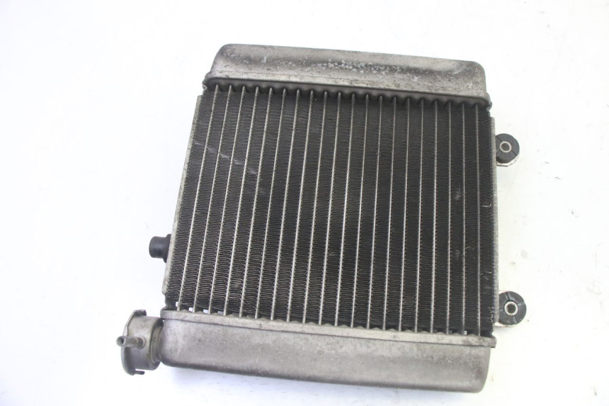 photo de RADIATOR HONDA FES S-WING SWING ABS 125 (2007 - 2015)