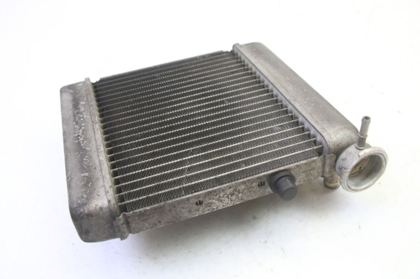 photo de RADIATOR HONDA FES S-WING SWING ABS 125 (2007 - 2015)