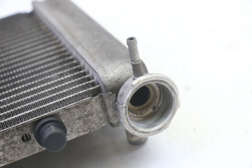 photo de RADIATOR HONDA FES S-WING SWING ABS 125 (2007 - 2015)