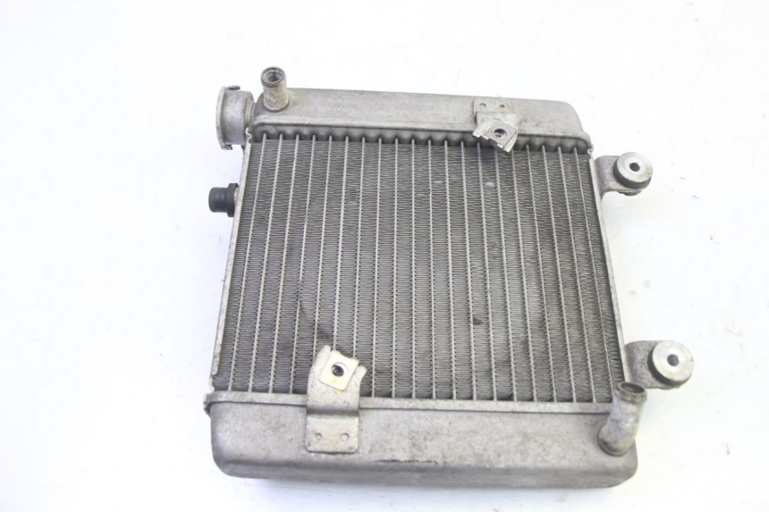 photo de RADIATOR HONDA FES S-WING SWING ABS 125 (2007 - 2015)