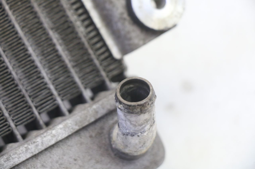 photo de RADIATOR HONDA FES S-WING SWING ABS 125 (2007 - 2015)