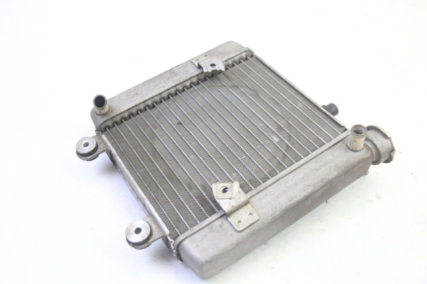 photo de RADIATOR HONDA FES S-WING SWING ABS 125 (2007 - 2015)