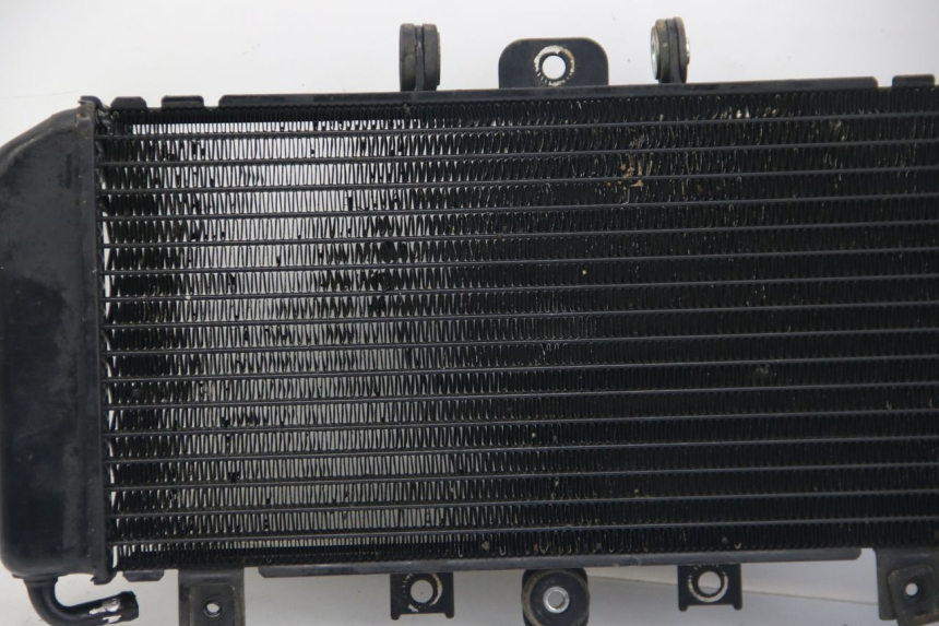 photo de COOLANT RADIATOR YAMAHA FZS FAZER 600 (2001 - 2003)