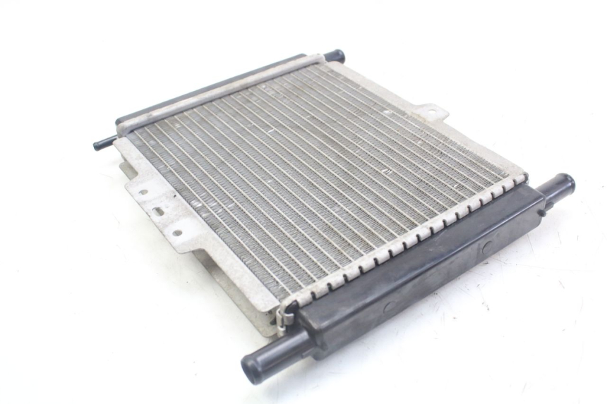 photo de COOLANT RADIATOR PEUGEOT GEOPOLIS RS 125 (2007 - 2009)