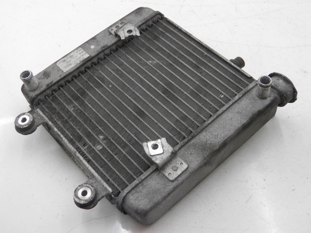 photo de COOLANT RADIATOR HONDA FES PANTHEON 125 (2003 - 2007) - Main view