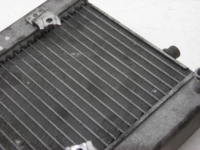 photo de COOLANT RADIATOR HONDA FES PANTHEON 125 (2003 - 2007) - Product overview