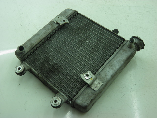 photo de COOLANT RADIATOR HONDA FES S-WING SWING 125 (2007 - 2015) - Zoom on usage condition