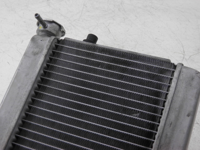 photo de RADIATOR HONDA FES S-WING SWING ABS 125 (2007 - 2015)