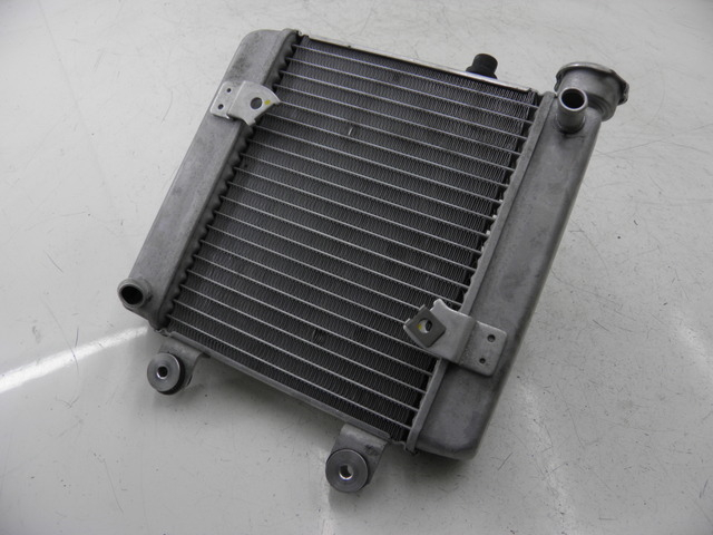 photo de RADIATOR HONDA FES S-WING SWING ABS 125 (2007 - 2015)