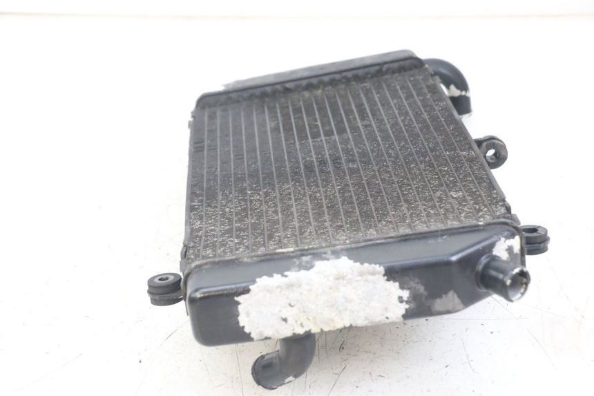 photo de RADIATOR HONDA FJS SILVERWING SILVER WING 600 (2001 - 2010)