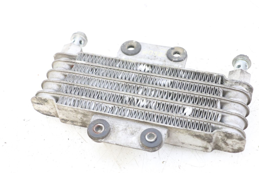 photo de OIL RADIATOR HYOSUNG GV AQUILA 125 (2000 - 2004)