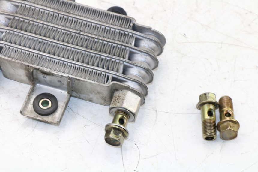 photo de OIL RADIATOR DAELIM VJ ROADWIN 125 (2004 - 2007) - Product overview