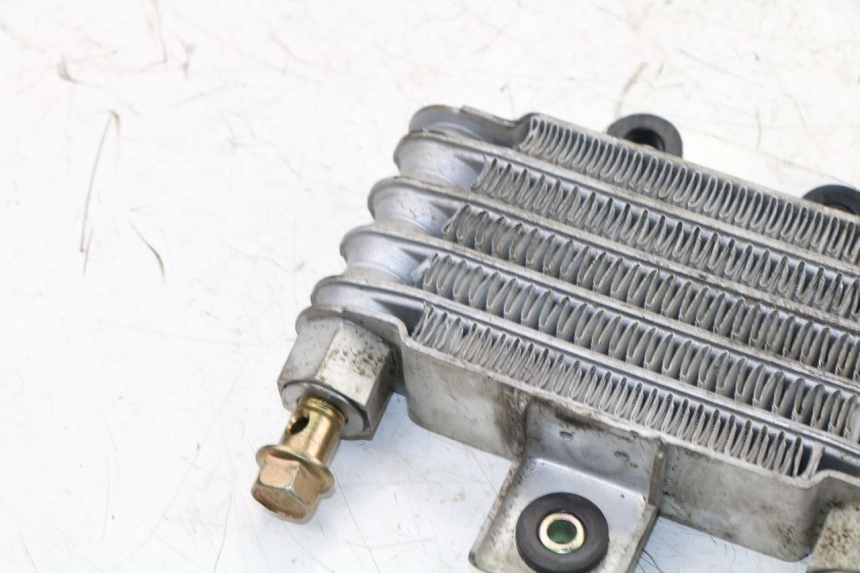 photo de OIL RADIATOR DAELIM VJ ROADWIN 125 (2004 - 2007) - Fixing points details