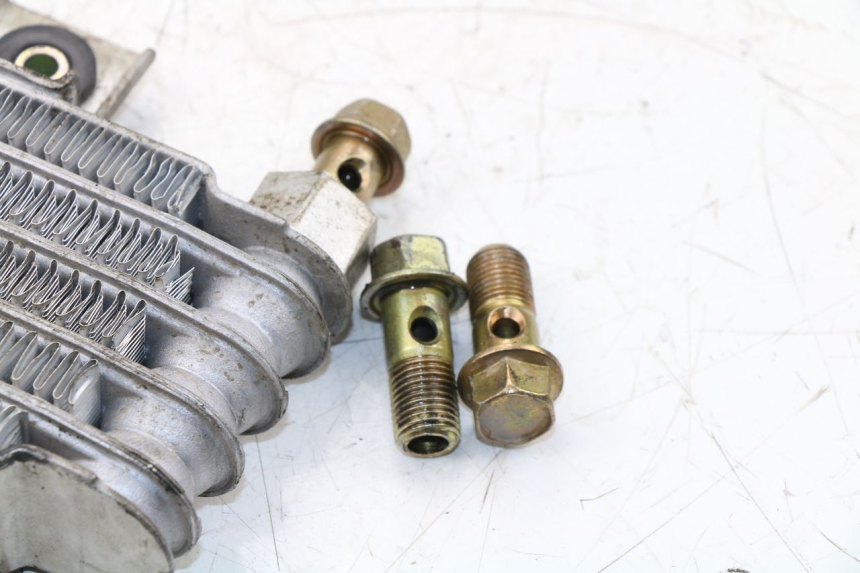 photo de OIL RADIATOR DAELIM VJ ROADWIN 125 (2004 - 2007) - Markings and original references