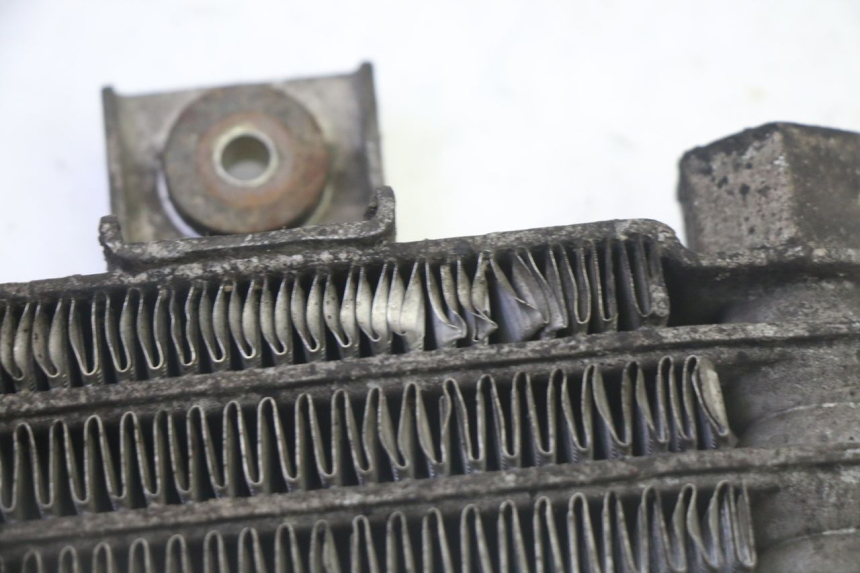 photo de OIL RADIATOR DAELIM HISTORY 125 (2001 - 2002)