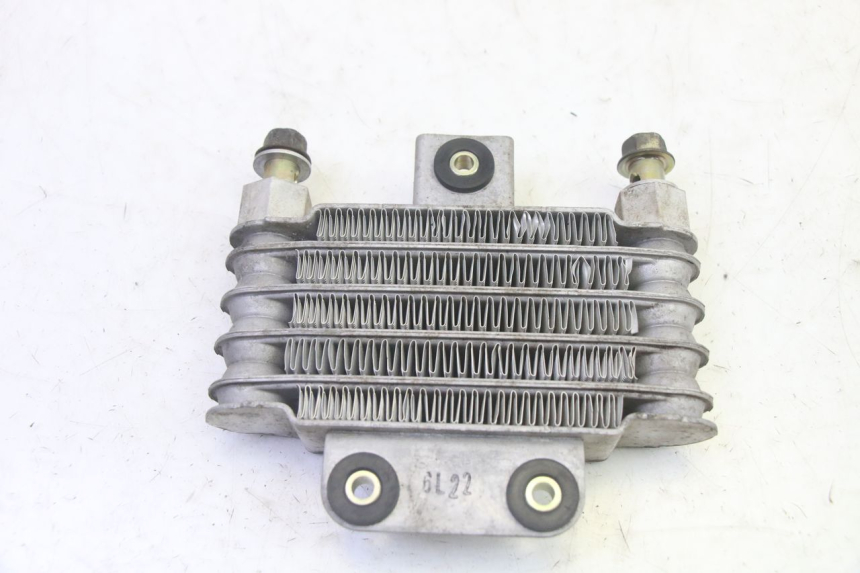 photo de OIL RADIATOR DAELIM S1 125 (2007 - 2016) - Technical close-up