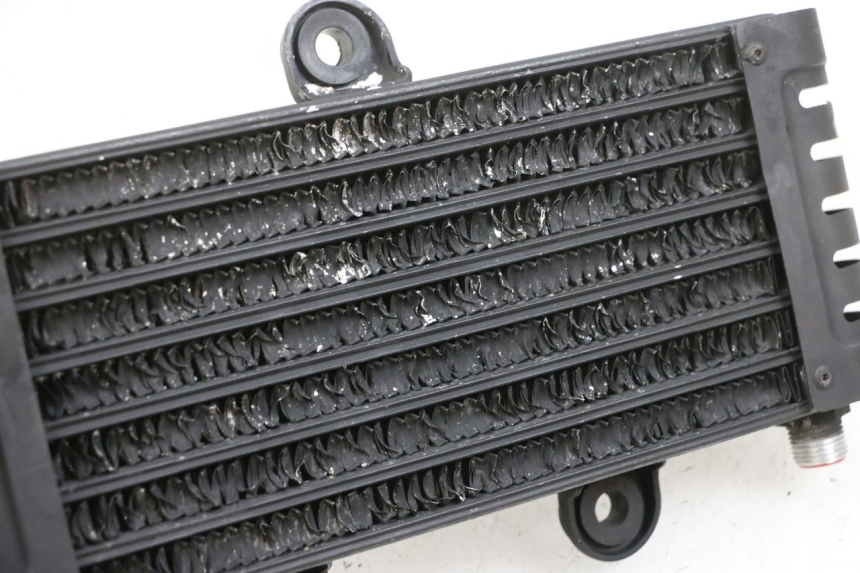 photo de OIL RADIATOR KAWASAKI ZR 7 750 (1999 - 2001) - Component detail