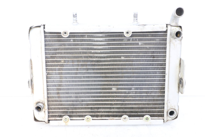 photo de COOLANT RADIATOR HYTRACK HY S 4X4 410 (2013 - 2016) - Main view