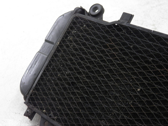 photo de RADIATOR KAWASAKI ZZR 600 (1995 - 2004)