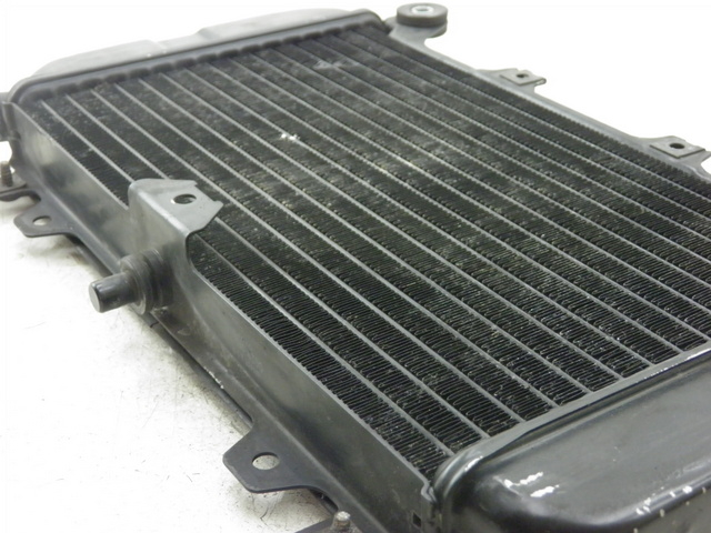 photo de RADIATOR KAWASAKI ZZR 600 (1995 - 2004)