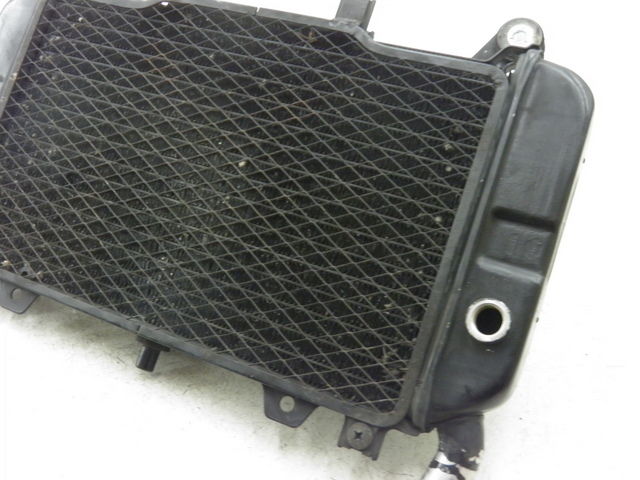 photo de RADIATOR KAWASAKI ZZR 600 (1995 - 2004)