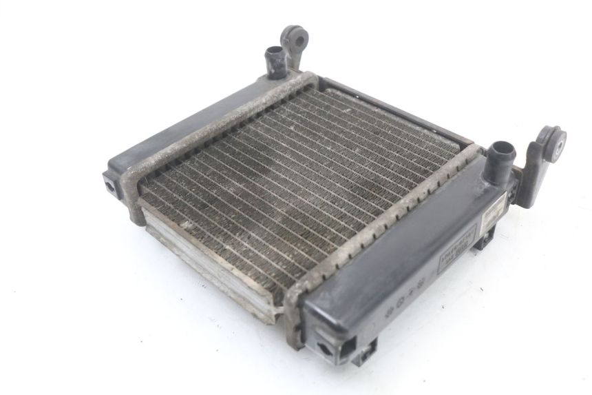 photo de RADIATOR KYMCO DINK STREET 125 (2009 - 2014)