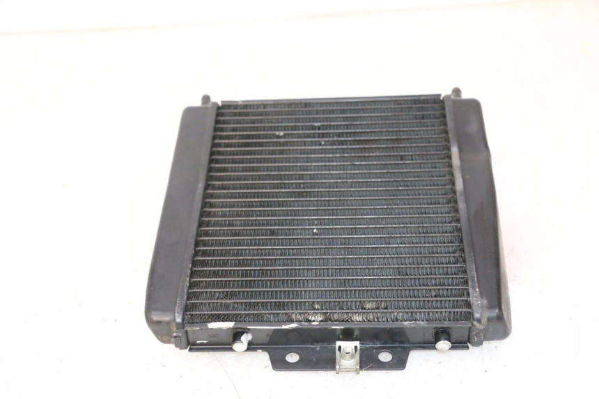 photo de COOLANT RADIATOR PIAGGIO MP3 LT 300 (2010 - 2016)