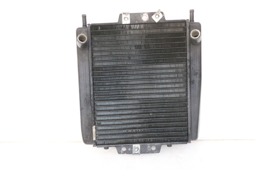 photo de COOLANT RADIATOR PIAGGIO MP3 RL 250 (2007 - 2010)