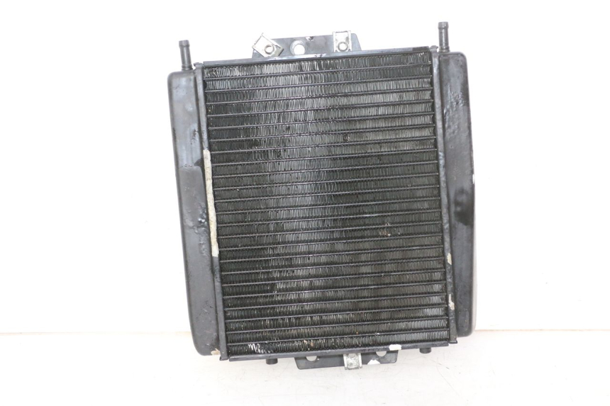 photo de COOLANT RADIATOR PIAGGIO MP3 RL 250 (2007 - 2010)
