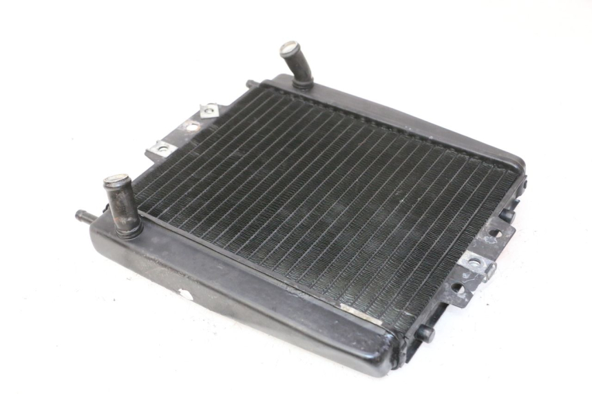 photo de COOLANT RADIATOR PIAGGIO MP3 RL 250 (2007 - 2010)