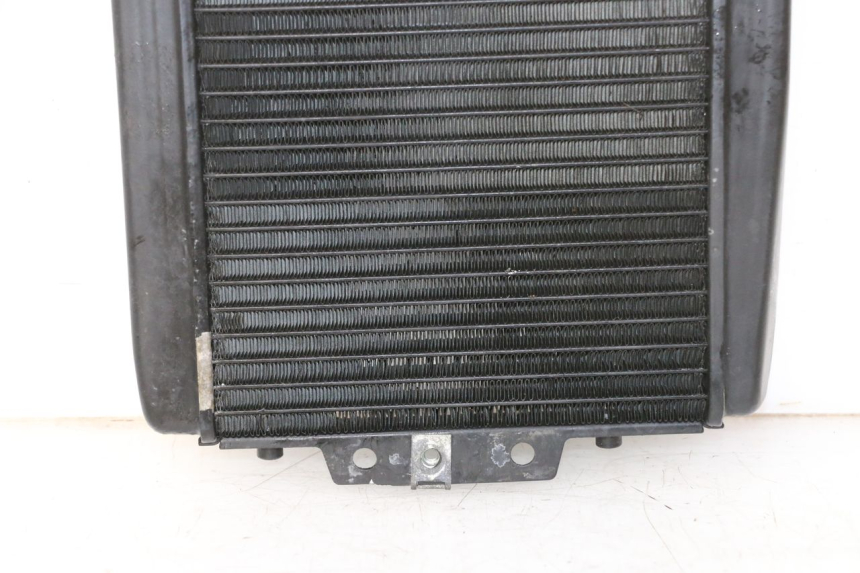 photo de COOLANT RADIATOR PIAGGIO MP3 RL 250 (2007 - 2010)