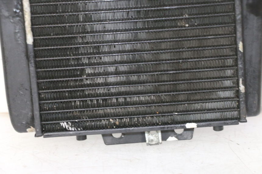 photo de COOLANT RADIATOR PIAGGIO MP3 RL 250 (2007 - 2010)