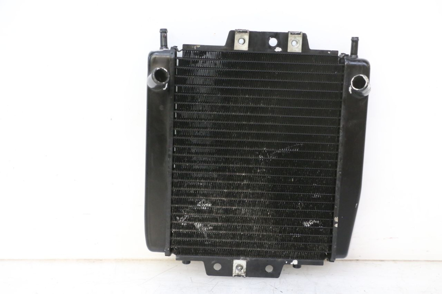 photo de COOLANT RADIATOR PIAGGIO MP3 RL 250 (2007 - 2010)