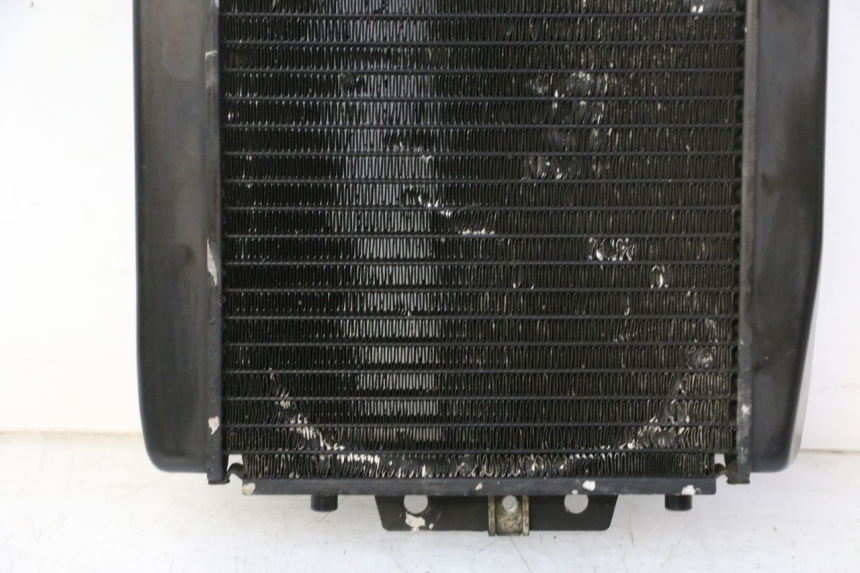 photo de COOLANT RADIATOR PIAGGIO MP3 RL 250 (2007 - 2010)